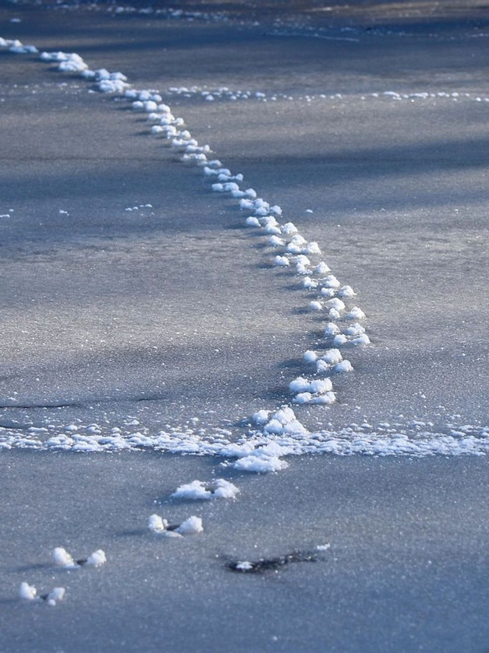 Retrato do pescador após uma longa caminhada na neve
